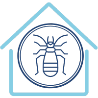 icone-Termite